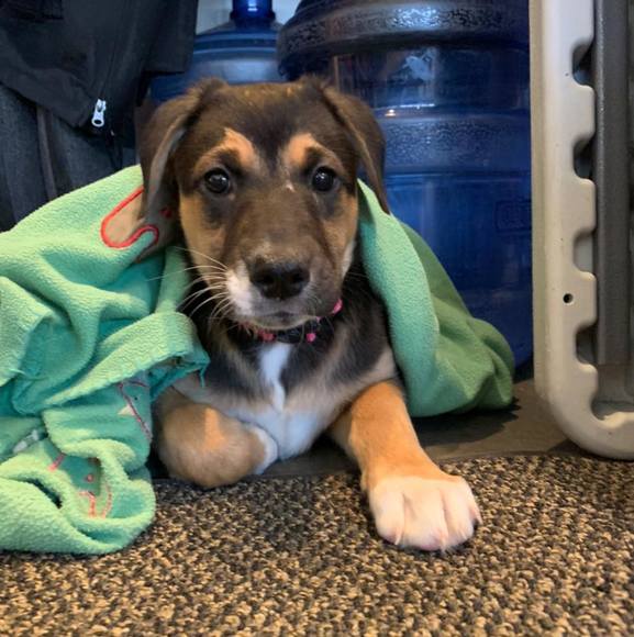 Meet your Posher, Colin - Picture 1 of 1